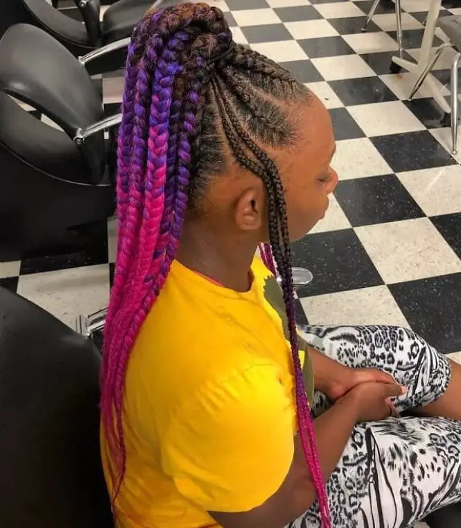 shades of violet braids braidedroots